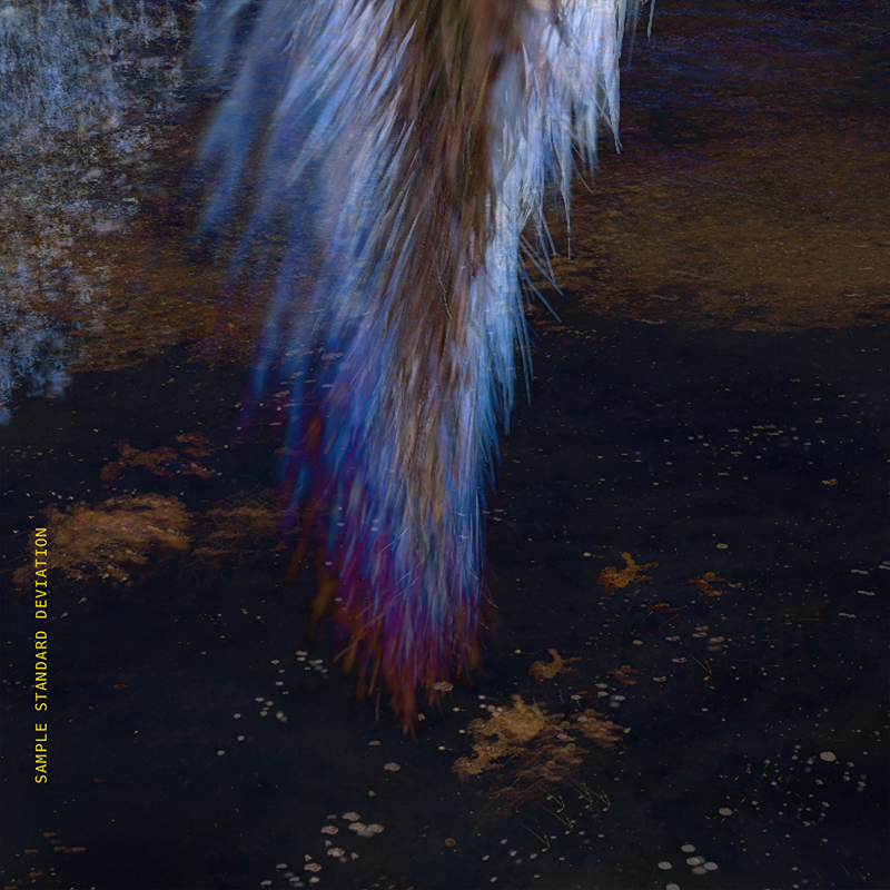 Image processing: exposing latent space(s)