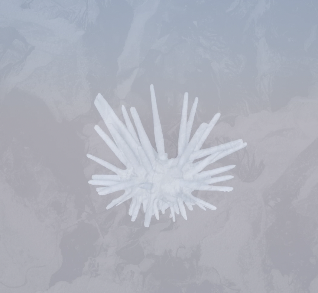 Carrara White